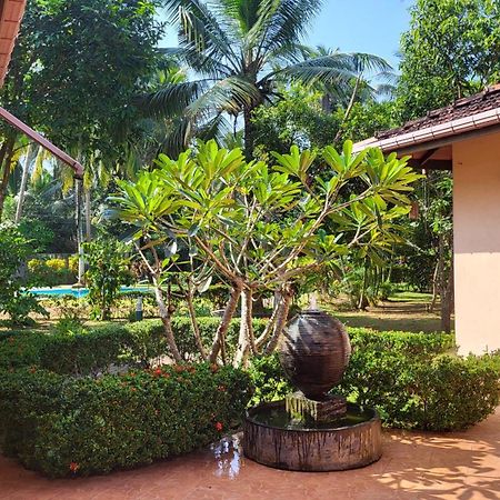 King Coconut Lodge Habaraduwa Central Extérieur photo